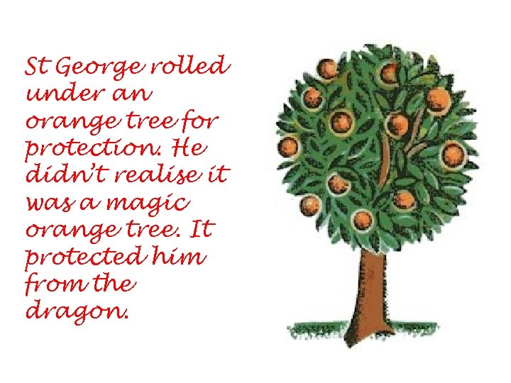 St George rolled under an orange tree for protection. He didn’t realise it was