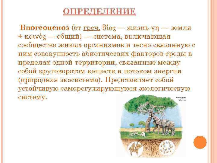 ОПРЕДЕЛЕНИЕ Биогеоценоз (от греч. βίος — жизнь γη — земля + κοινός — общий)