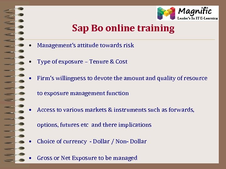  Sap Bo online training • Management’s attitude towards risk • Type of exposure