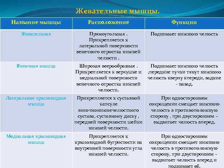 Каковы особенности прикрепления мимических мышц. Жевательные мышцы таблица. Группы мышц название мышц функции таблица. Прикрепление жевательных мышц таблица. Жевательная мышца функции головы расположение.