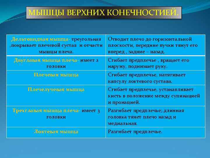 МЫШЦЫ ВЕРХНИХ КОНЕЧНОСТИЕЙ. Дельтовидная мышца- треугольная Отводит плечо до горизонтальной , покрывает плечевой сустав