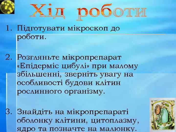 1. Підготувати мікроскоп до роботи. 2. Розгляньте мікропрепарат «Епідерміс цибулі» при малому збільшенні, зверніть