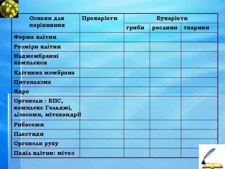 Ознаки для порівняння Форма клітин Розміри клітин Надмембранні комплекси Клітинна мембрана Цитоплазма Ядро Органели