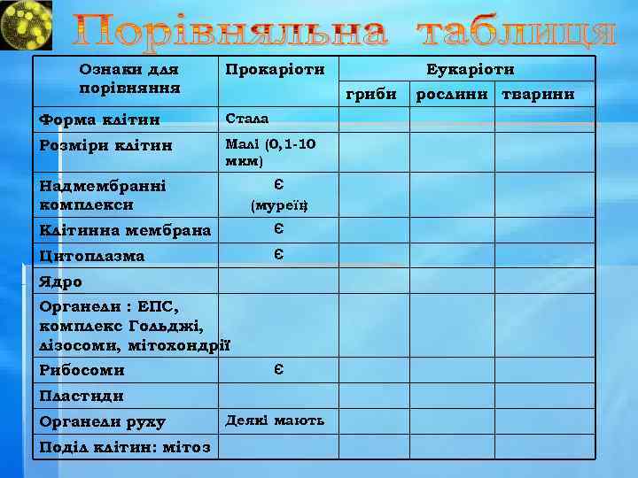 Ознаки для порівняння Прокаріоти гриби Форма клітин Стала Розміри клітин Малі (0, 1 -10