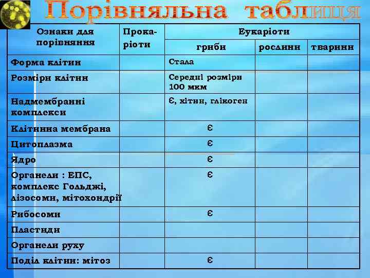 Ознаки для порівняння Прокаріоти Еукаріоти гриби Форма клітин Стала Розміри клітин Середні розміри 100