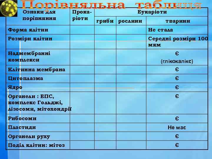 Ознаки для порівняння Прока. Еукаріоти гриби рослини тварини Форма клітин Не стала Розміри клітин