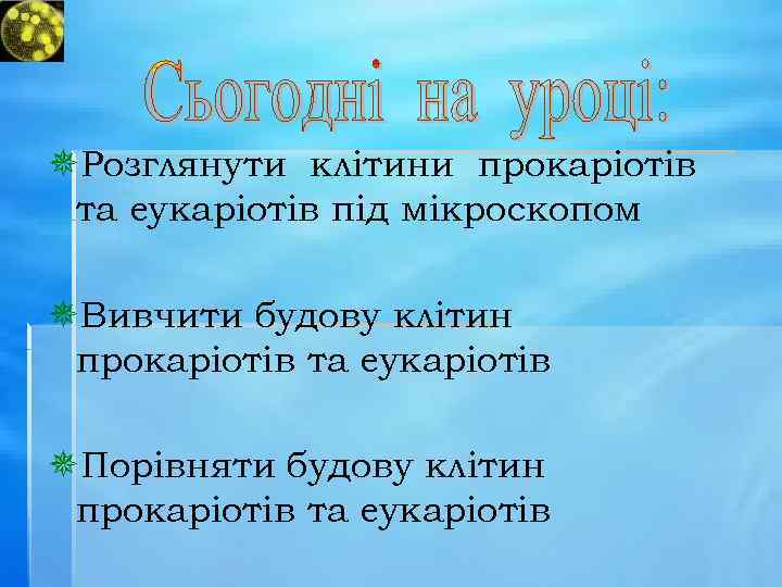 ¯Розглянути клітини прокаріотів та еукаріотів під мікроскопом ¯Вивчити будову клітин прокаріотів та еукаріотів ¯Порівняти