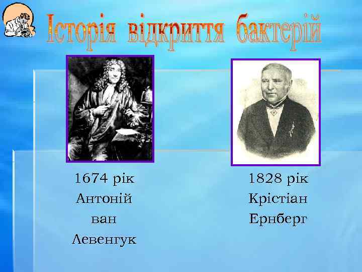 1674 рік Антоній ван Левенгук 1828 рік Крістіан Ернберг 