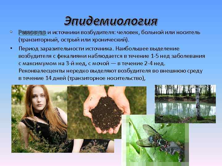 Эпидемиология • Резервуар и источники возбудителя: человек, больной или носитель Резервуар (транзиторный, острый или