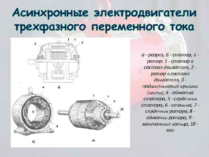 Презентация электрогенератор 8 класс