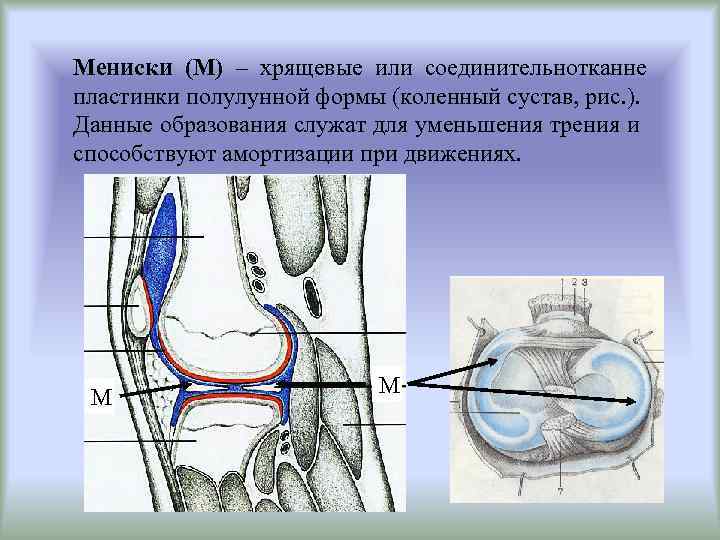 Верхний мениск жидкости