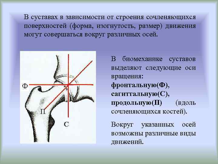 Оси движения суставов. Локтевой сустав оси движения. Локтевой сустав оси вращения. Локтевой сустав движения по осям. Локтевой сустав движение в суставе.