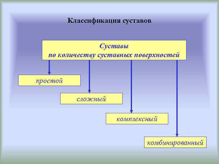 Классификация суставов Суставы по количеству суставных поверхностей простой сложный комплексный комбинированный 