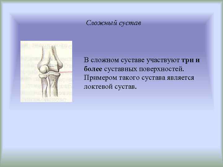 Сложный сустав В сложном суставе участвуют три и более суставных поверхностей. Примером такого сустава
