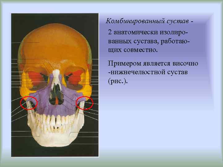 Комбинированный сустав 2 анатомически изолированных сустава, работающих совместно. Примером является височно -нижнечелюстной сустав (рис.
