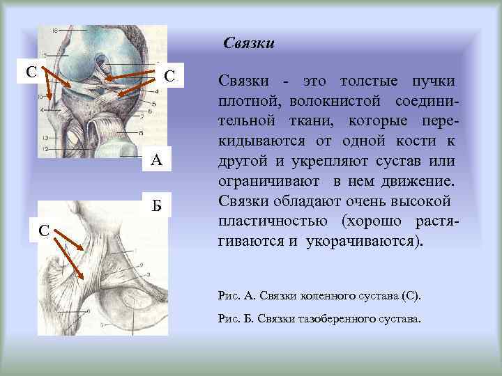 Связки примеры