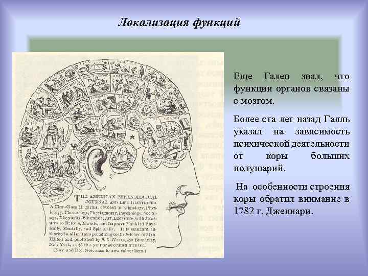 Локализация функций Еще Гален знал, что функции органов связаны с мозгом. Более ста лет