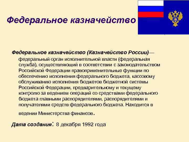 Федеральное казначейство (Казначейство России)— федеральный орган исполнительной власти (федеральная служба), осуществляющий в соответствии с