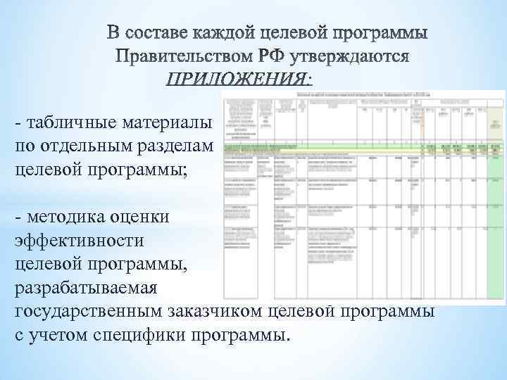 - табличные материалы по отдельным разделам целевой программы; - методика оценки эффективности целевой программы,