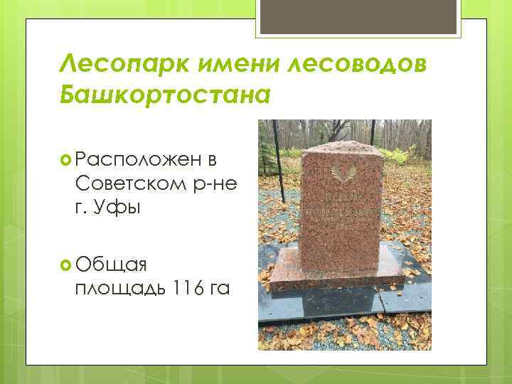 Лесопарк имени лесоводов Башкортостана Расположен в Советском р-не г. Уфы Общая площадь 116 га