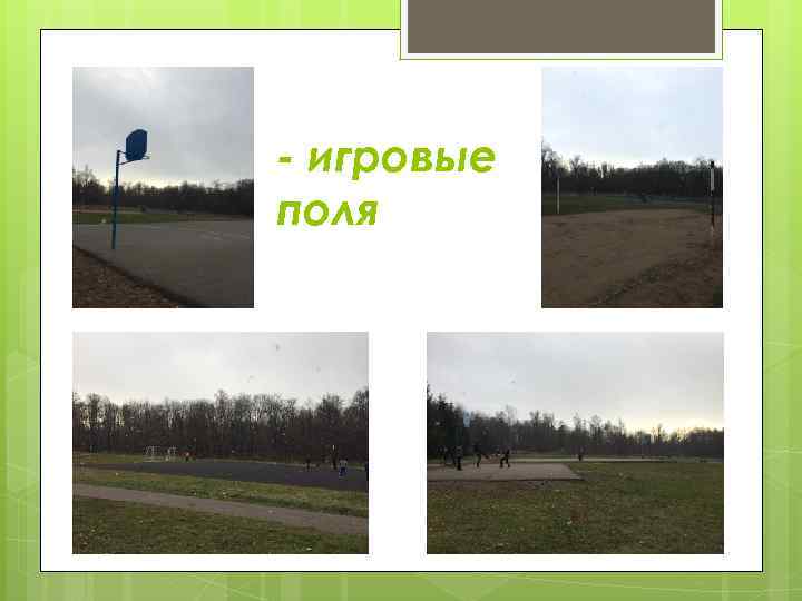 - игровые поля 