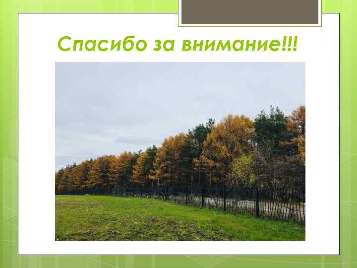 Спасибо за внимание!!! 