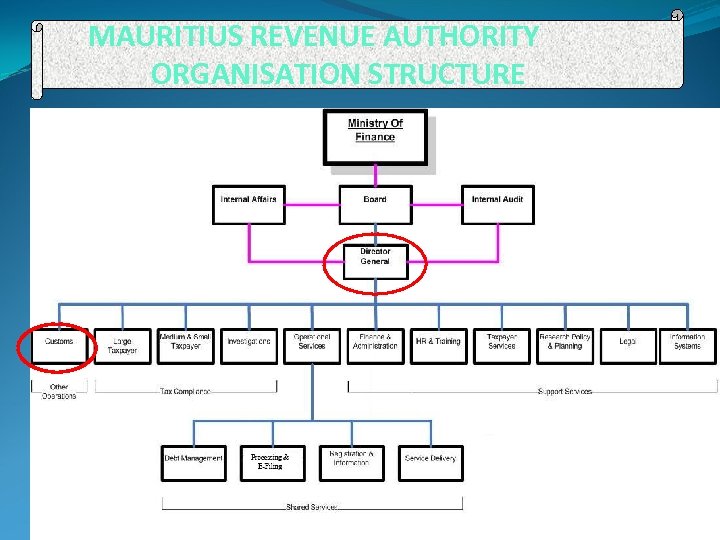MAURITIUS REVENUE AUTHORITY ORGANISATION STRUCTURE 