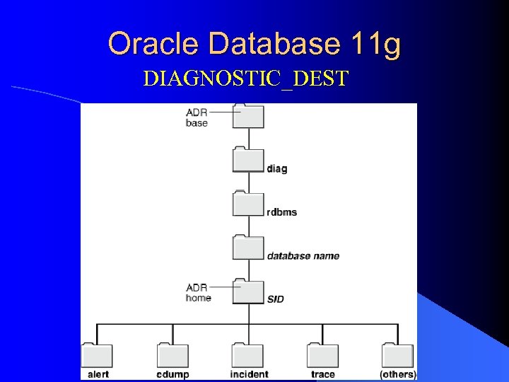 Oracle Database 11 g DIAGNOSTIC_DEST 