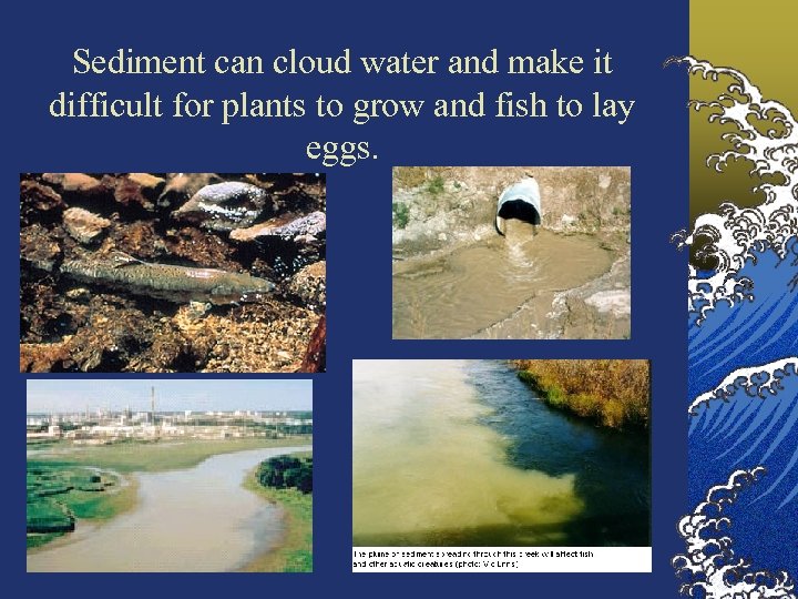 Sediment can cloud water and make it difficult for plants to grow and fish