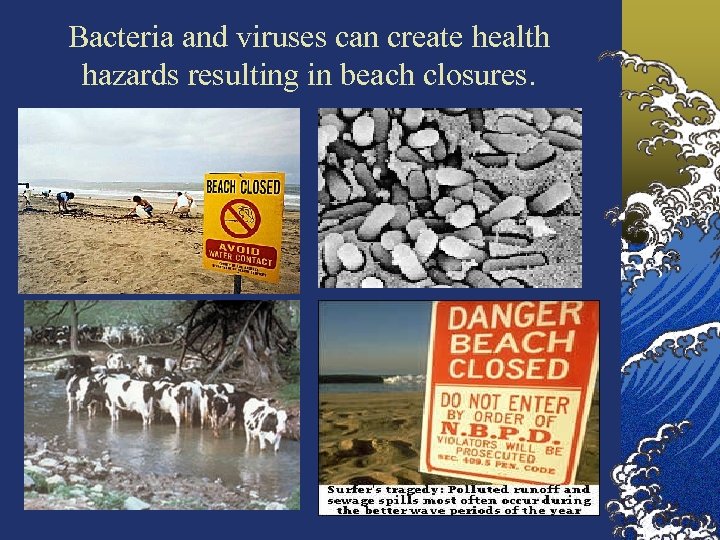 Bacteria and viruses can create health hazards resulting in beach closures. 