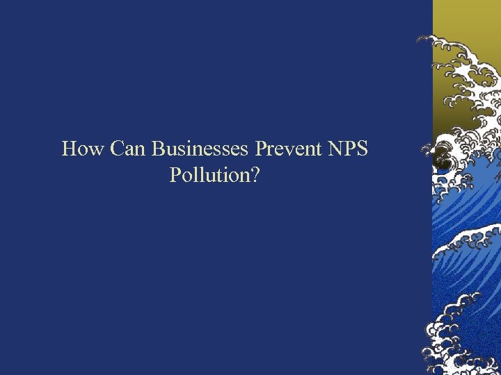 How Can Businesses Prevent NPS Pollution? 