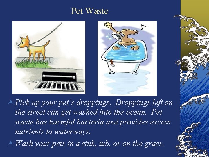 Pet Waste © Pick up your pet’s droppings. Droppings left on the street can