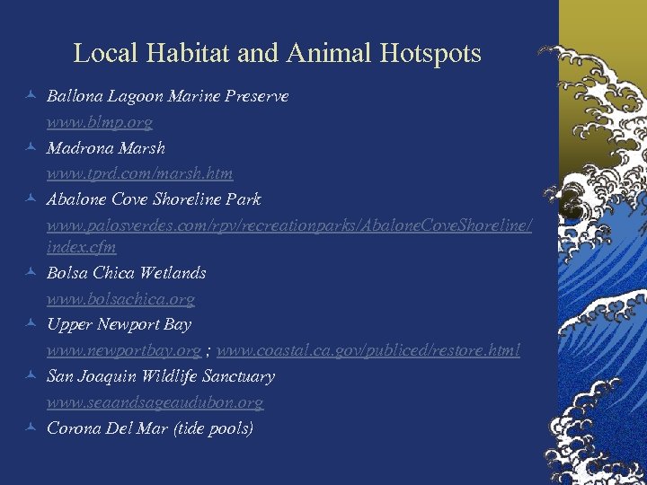 Local Habitat and Animal Hotspots © Ballona Lagoon Marine Preserve www. blmp. org ©
