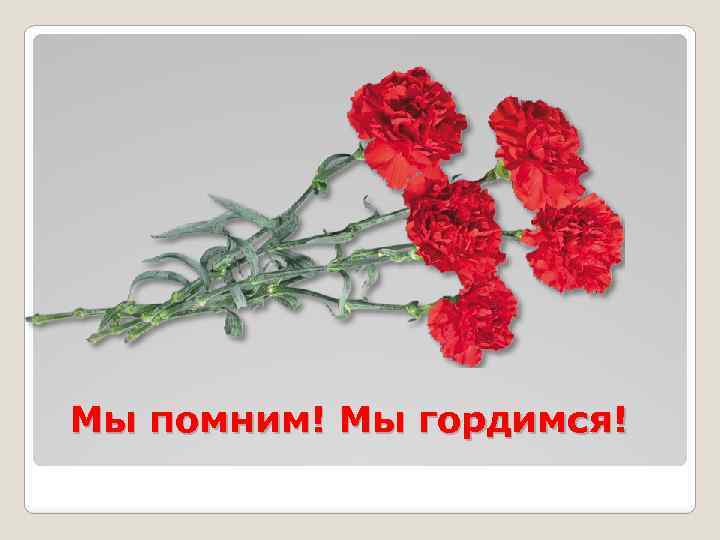 Мы помним! Мы гордимся! 