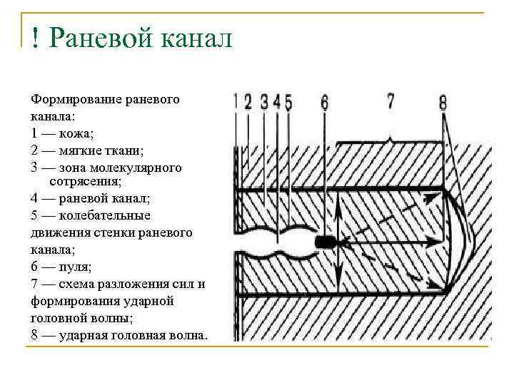 ! Раневой канал Формирование раневого канала: 1 — кожа; 2 — мягкие ткани; 3