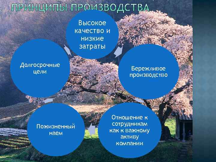 Высокое качество и низкие затраты Долгосрочные цели Пожизненный наем Бережливое производство Отношение к сотрудникам