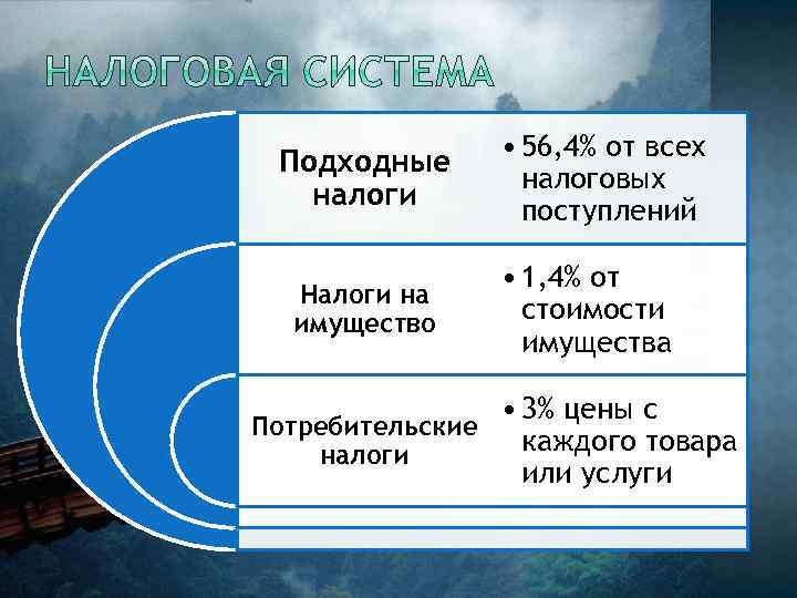 Подходные налоги Налоги на имущество • 56, 4% от всех налоговых поступлений • 1,
