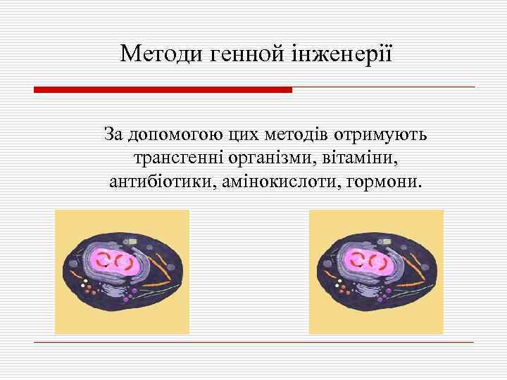 Методи генной інженерії За допомогою цих методів отримують трансгенні організми, вітаміни, антибіотики, амінокислоти, гормони.