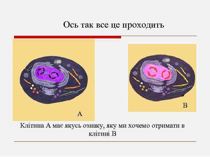 Ось так все це проходить В А Клітина А має якусь ознаку, яку ми