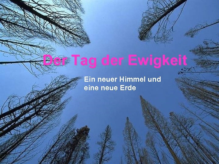 Der Tag der Ewigkeit Ein neuer Himmel und eine neue Erde U 