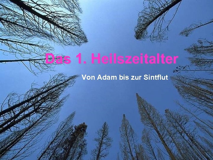 Das 1. Heilszeitalter Von Adam bis zur Sintflut U 