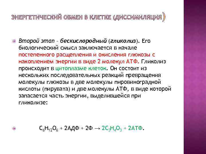 Второй этап – бескислородный (гликолиз). Его биологический смысл заключается в начале постепенного расщепления