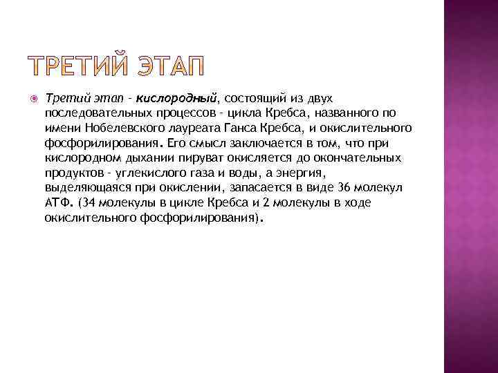  Третий этап – кислородный, состоящий из двух последовательных процессов – цикла Кребса, названного