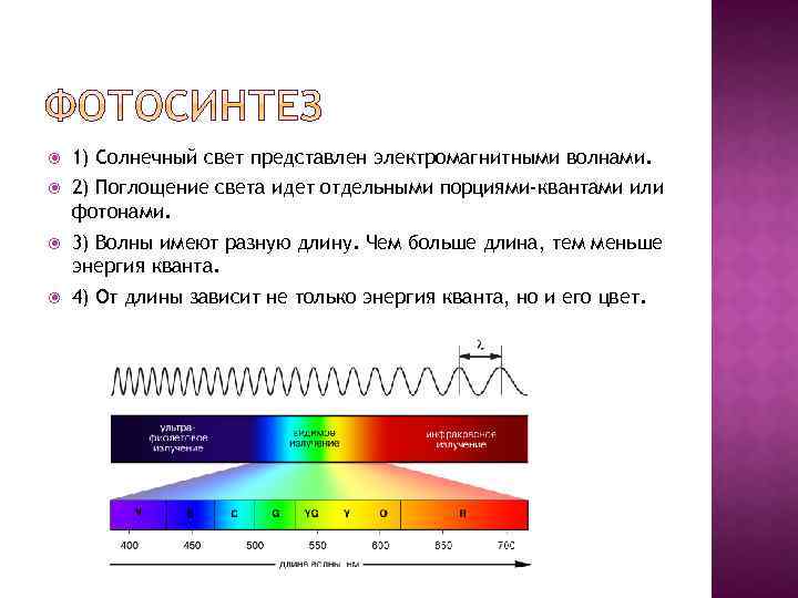  1) Солнечный свет представлен электромагнитными волнами. 2) Поглощение света идет отдельными порциями-квантами или