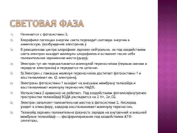1) Начинается с фотосистемы 2. 2) Хлорофилл поглощая энергию света переводит световую энергию в