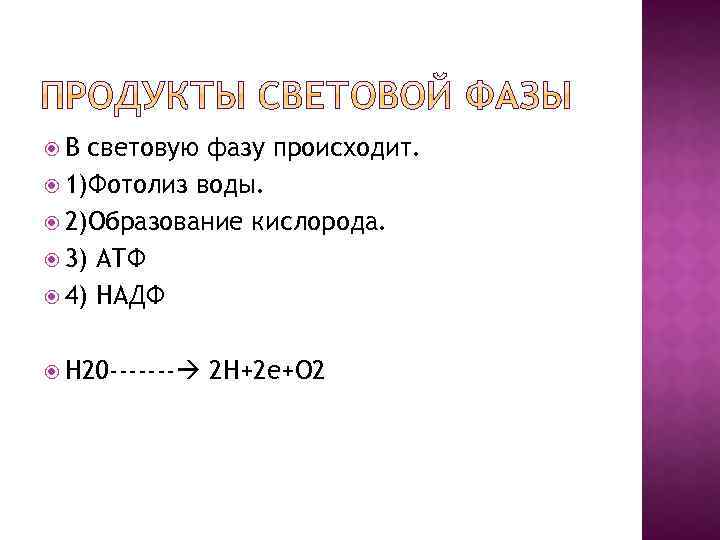  В световую фазу происходит. 1)Фотолиз воды. 2)Образование кислорода. 3) АТФ 4) НАДФ H