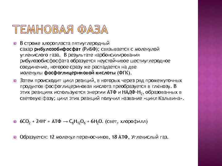  В строме хлоропласта пятиуглеродный сахар рибулозобифосфат (Ри. БФ); связывается с молекулой углекислого газа.