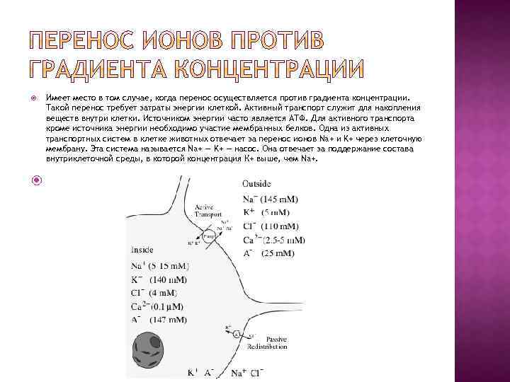  Имеет место в том случае, когда перенос осуществляется против градиента концентрации. Такой перенос