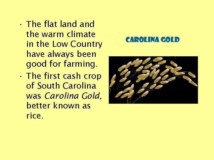  • The flat land the warm climate in the Low Country have always