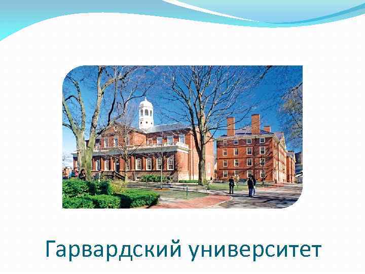 Гарвардский университет 